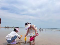 -日照海滨国家森林公园