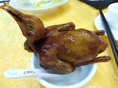 -鸽王世家(东华东路店)