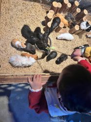 -酷嗒动物文化乐园(cutezoo西溪乐天城店)