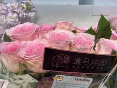 -盒马鲜生(宝地店)