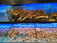 -透明思烤·自助烤肉海鲜火锅(东部星悦天地店)