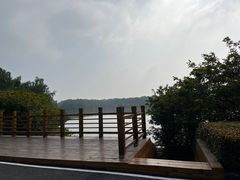 -大湾区中央湿地公园