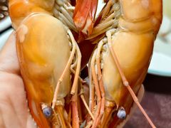 -东鸽皇(奥园·中环广场店)