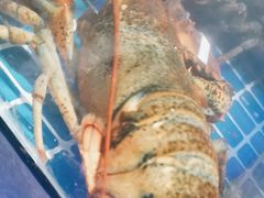-天盛海鲜烧烤城·特色烤海鲜(开发区店)