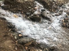 -白河湾生态旅游一条川