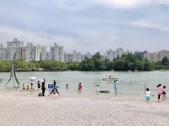 -大宁郁金香公园-停车场