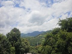 -杨家堂村