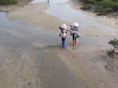 -北海金海湾红树林生态旅游区