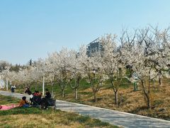 -灞河西岸滨河公园