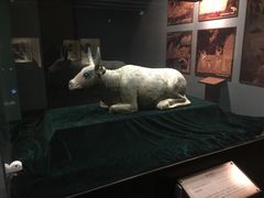 -宁夏博物馆