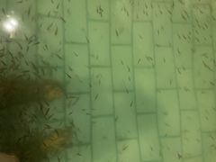 -天山海世界·米立方