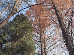 -元大都城垣遗址公园