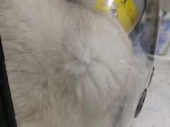 -半岛宠物医院24小时(科华中路店)