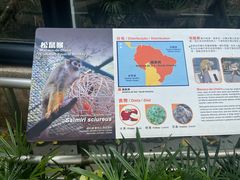 -石排湾郊野公园