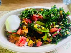 -油梨树AVOCADO TREE(顺义新国展店)