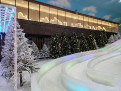 -世界之窗阿尔卑斯冰雪世界