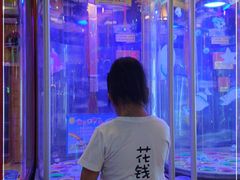 -汤姆熊欢乐世界(滨江店)