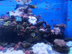 -多彩贵州城极地海洋世界