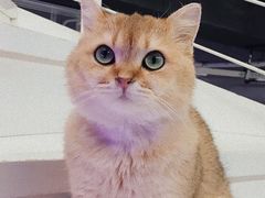 -极木²邸 人与宠物·互动社区