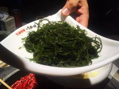 -川西坝子(老军营店)