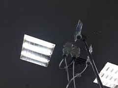 -重庆医科大学附属第一医院(本部)