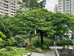 -九龙寨城公园
