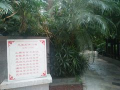 -龙达温泉生态城