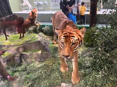 -国家自然博物馆