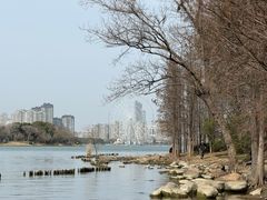 -长广溪湿地公园
