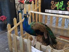 -鲁邦国际风情街(麦世达韩国精品百货店)