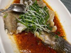 清蒸笋壳鱼-博多新记·粤菜(复兴店)