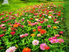 -汉长安城未央宫国家考古遗址公园