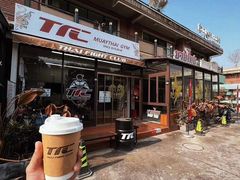 -TFC 纯泰拳馆MuayThai