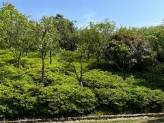 -杏花村文化旅游区