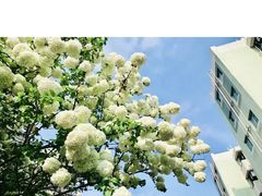 -四川大学(望江校区)