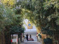 -三利音·浦之舟(滨江大道店)