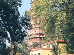 -宝通禅寺