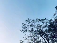 -白石龙音乐公园
