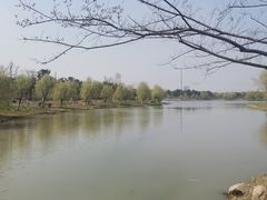 -九科绿洲