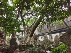 -南京中国近代史遗址博物馆(南京总统府)