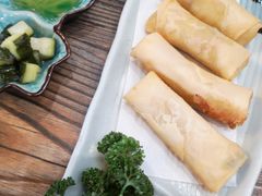 泰式炸时蔬春卷-Hi YOU你的饭局泰餐厅(雍和宫店)
