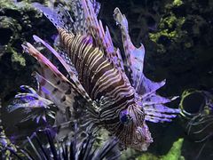 -太平洋海底世界