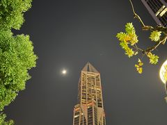 -上海明天广场JW万豪酒店