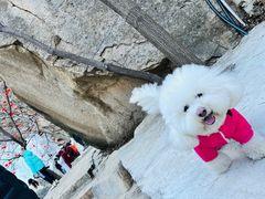 -黑龙潭风景区