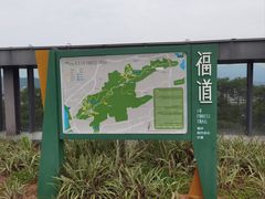-福道