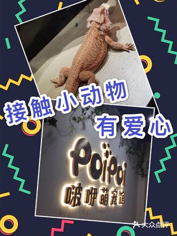 培养孩子爱护小动物，这个夏天充满了小爱心