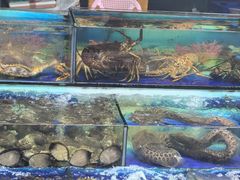 -霞涌市场海鲜摆卖区