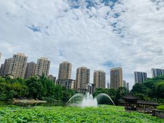-龙头寺公园