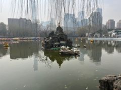 -团结湖公园
