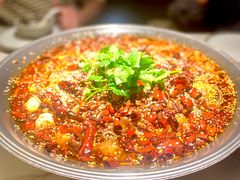 传统毛血旺-麻六记(新天地店)